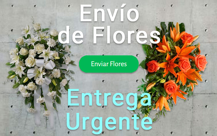 Envio flores difunto urgente a Tanatorio Málaga